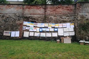 Celkový pohled na výstavu