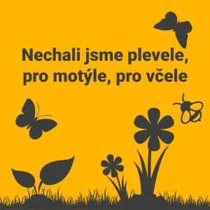 cedulka plevel