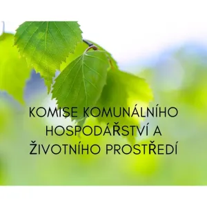 kohožp