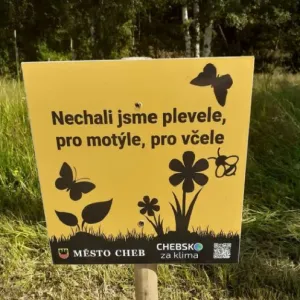cedulky trávník