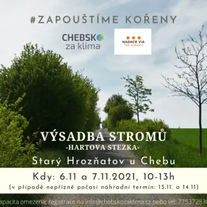 výsadba